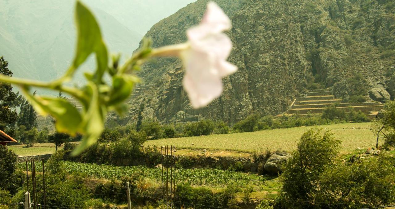 Inka Khawarina Tambo Lodge Ollantaytambo Exterior foto